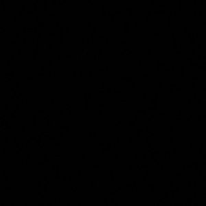 Meet your Posher, Tatum